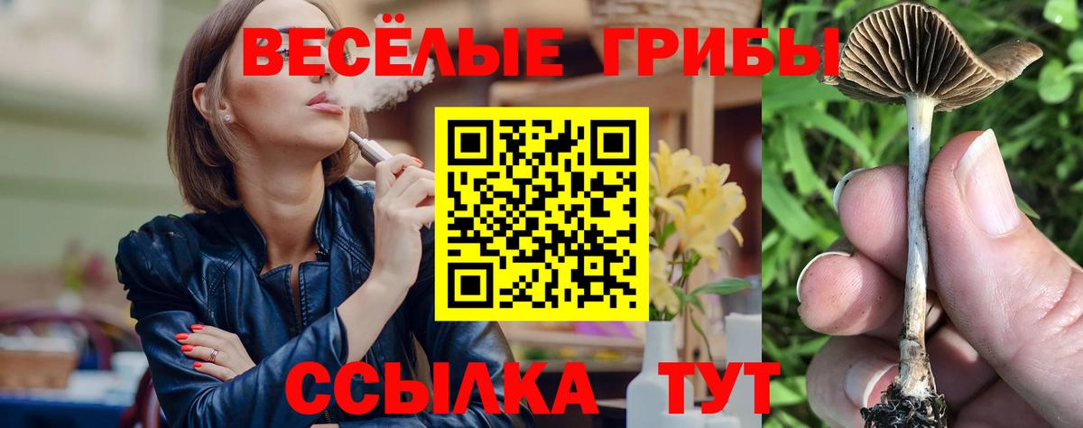 Орехово-Зуево  Псилоцибиновые грибы MAGIC MUSHROOMS  Вход с VPN 