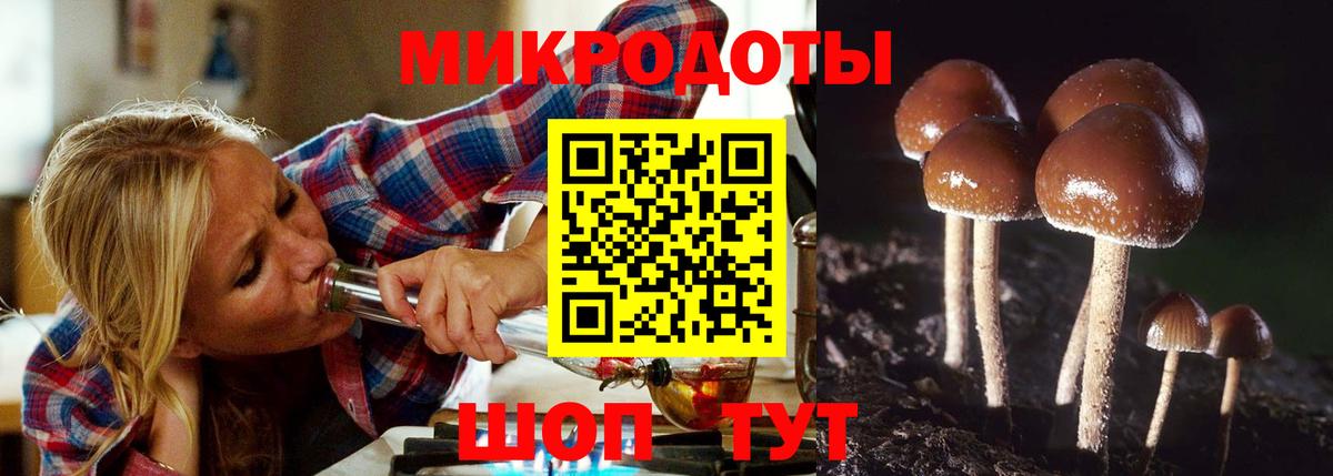 Псилоцибиновые грибы GOLDEN TEACHER Орехово-Зуево