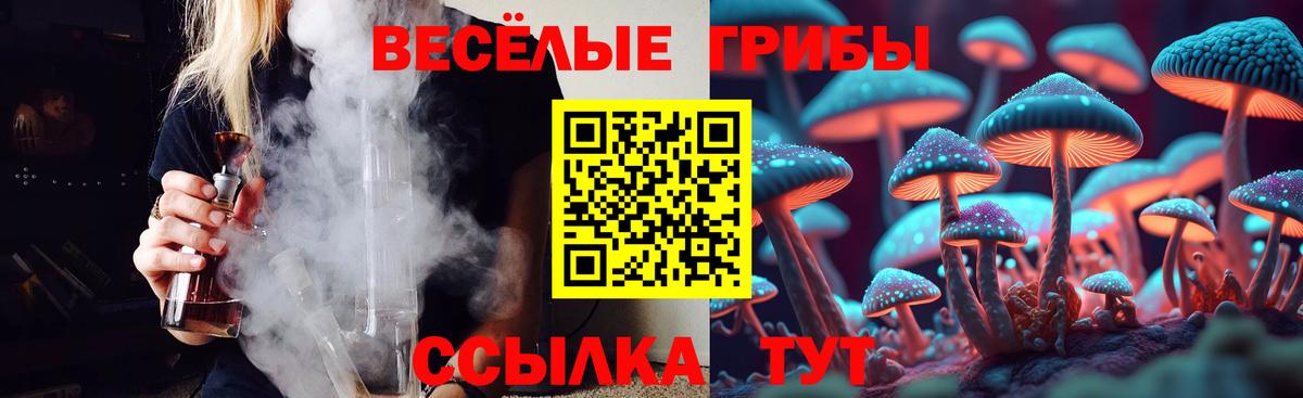 Псилоцибиновые грибы Psilocybe Орехово-Зуево